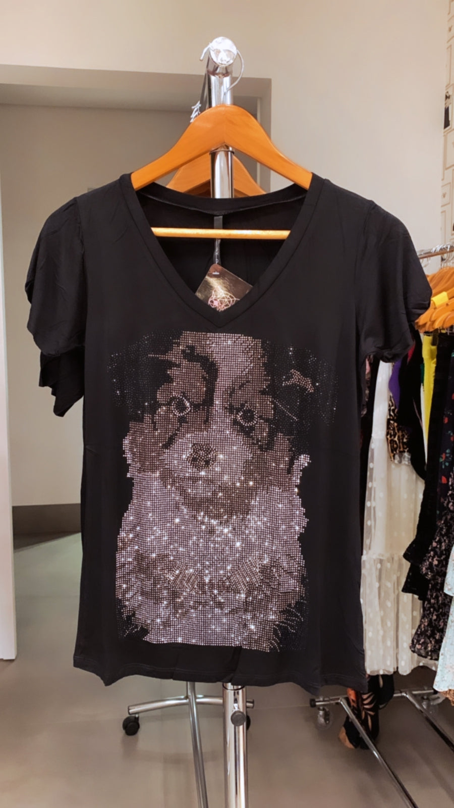 T-Shirt Cachorro com brilhos